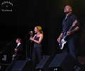 The Cardigans (6)